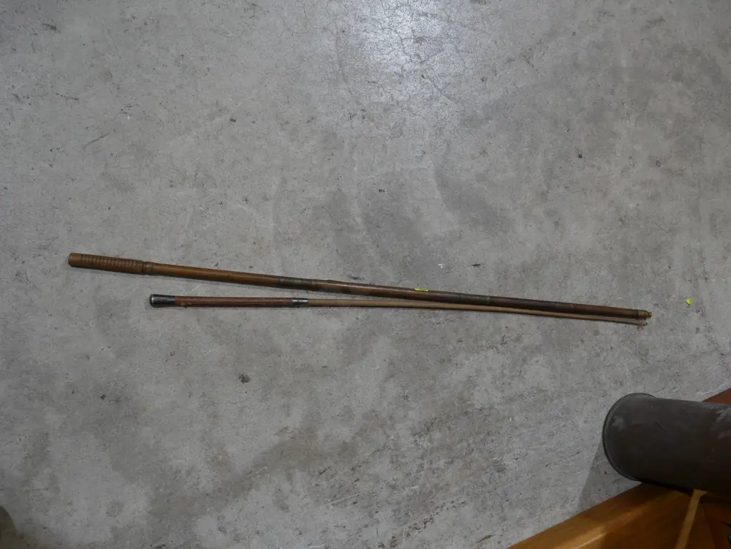 S/Silver tip whip etc Image 1++