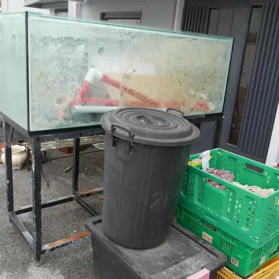 Fish tank and equipment