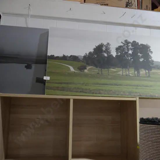 2 canvas pictures
