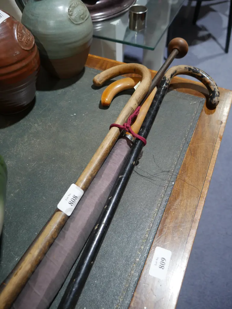 Walking sticks Image 1++