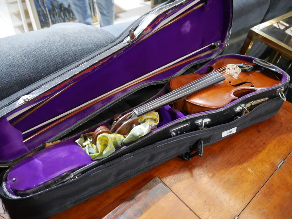 Cased violin Image 1++