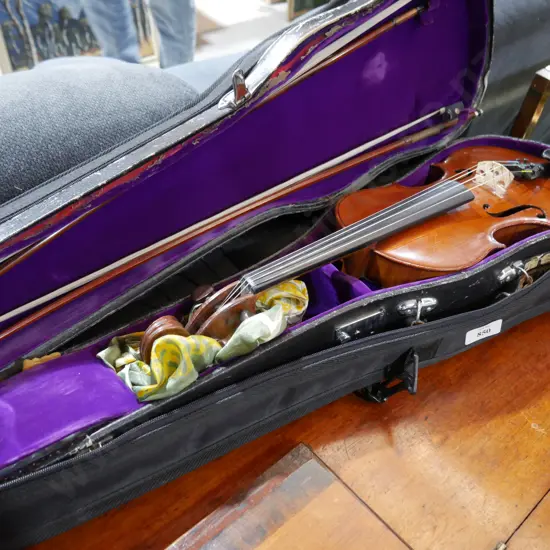 Cased violin