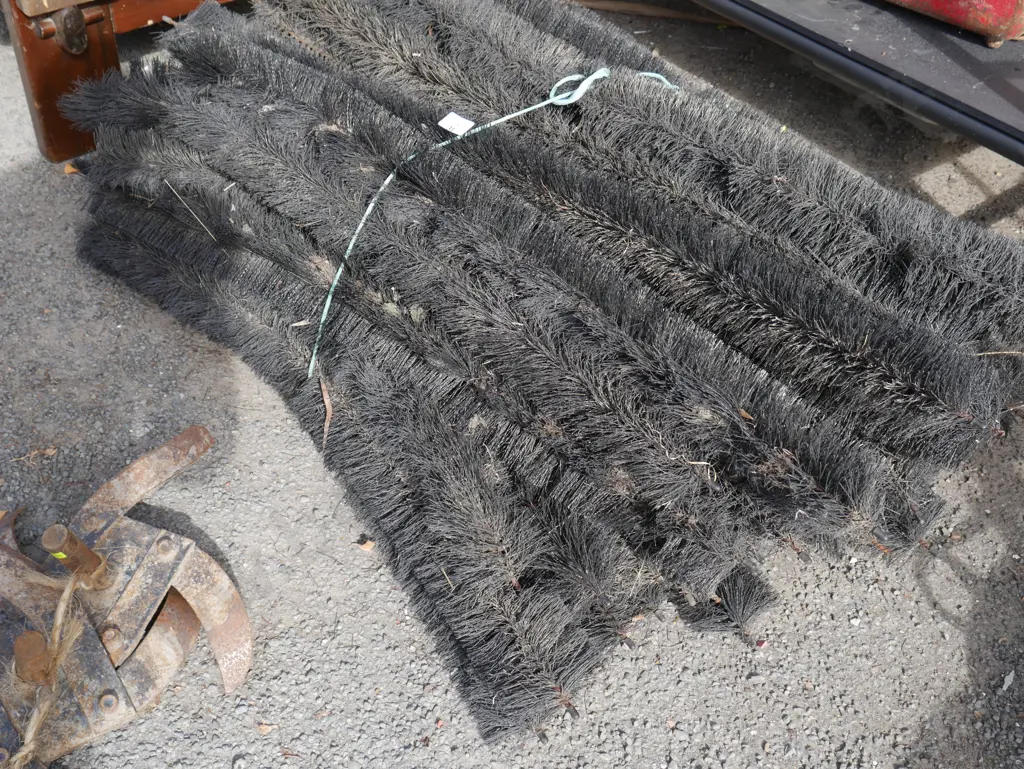 Gutter whiskers Image 1++