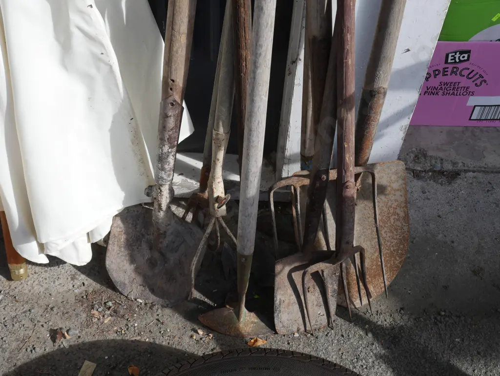 Assorted garden tools Image 1++