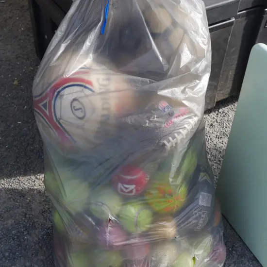 Assorted sports balls