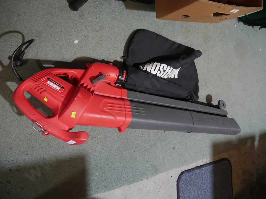 Leaf blower Image 1++