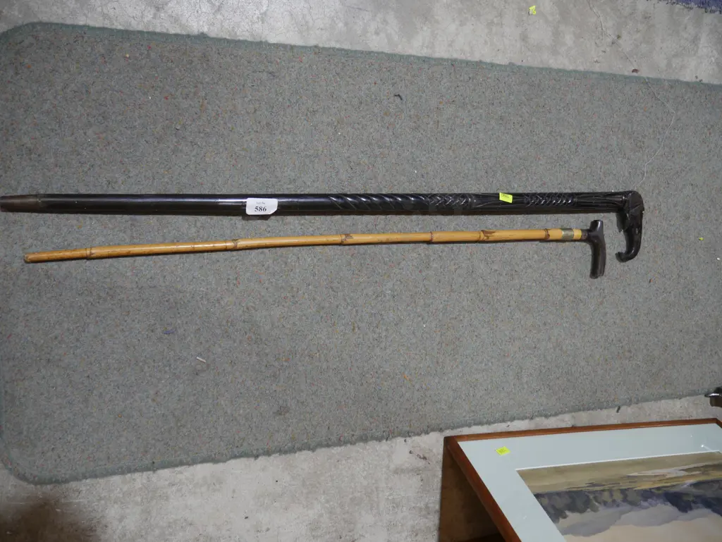 Walking sticks Image 1++