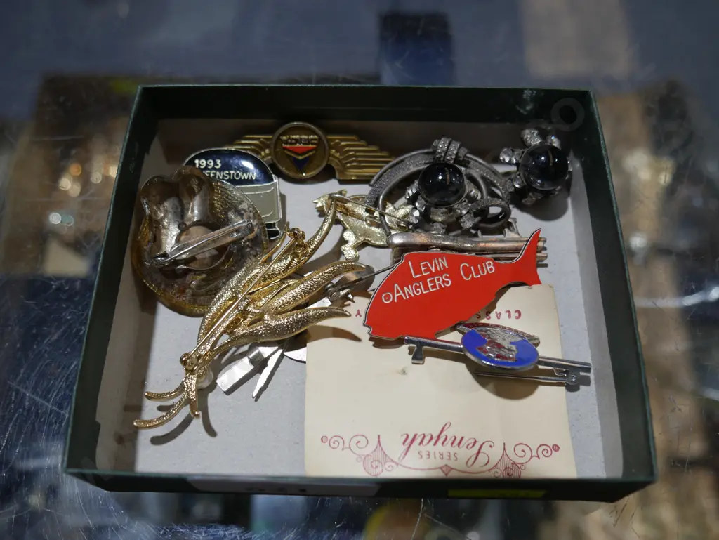Brooches etc Image 1++