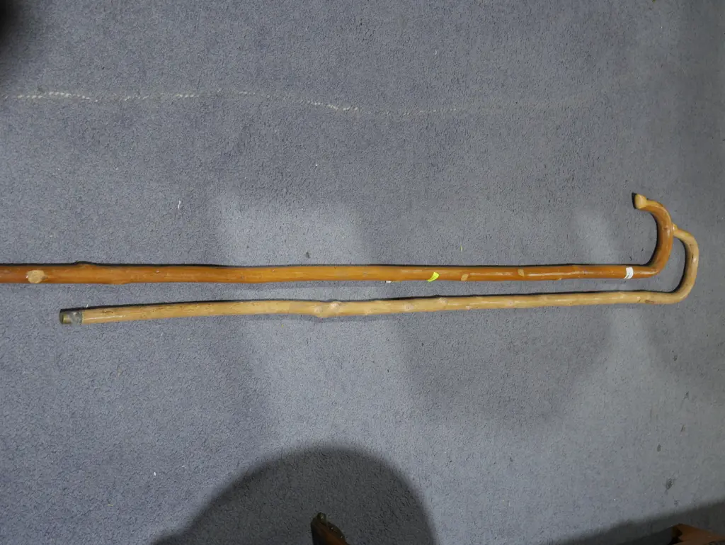 2 Shepherd's crooks Image 1++