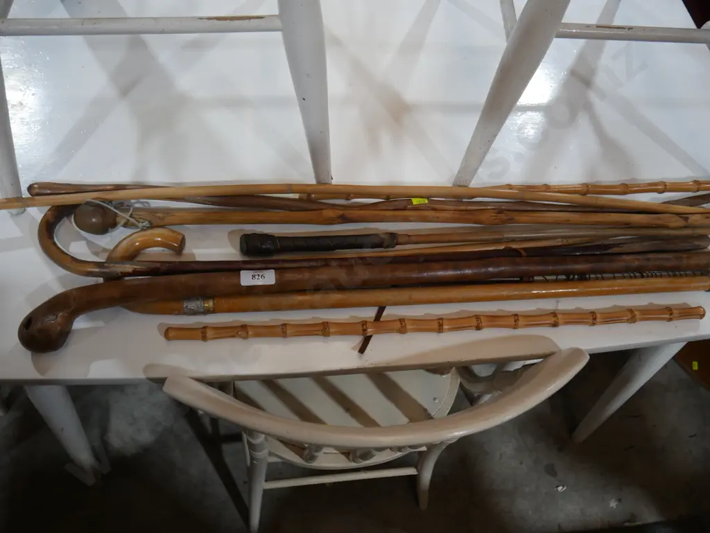 Assorted walking sticks Image 1++