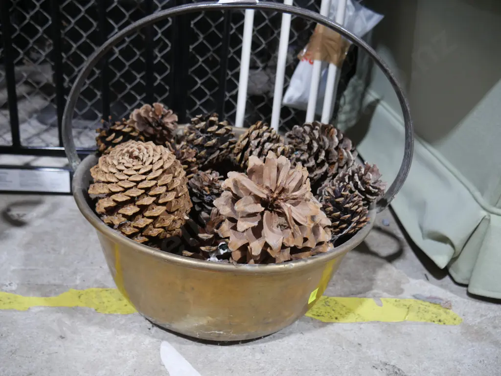 Metal bucket with pine cones Image 1++