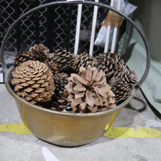 Metal bucket with pine cones