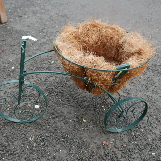 Tricycle planter