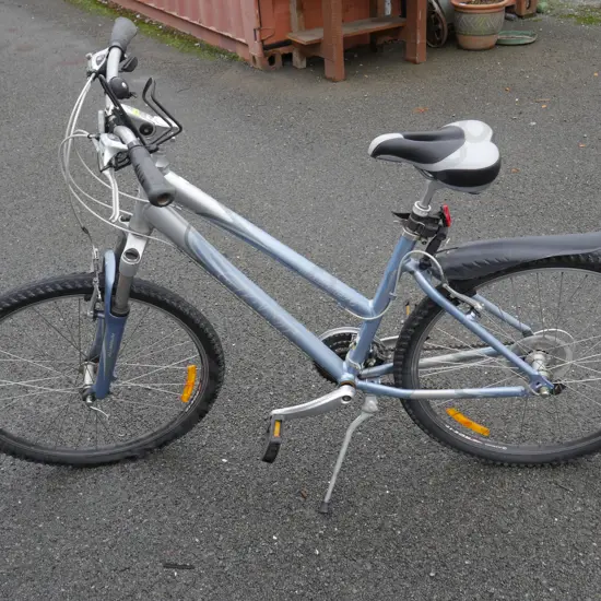 Giant ladies mountain bike