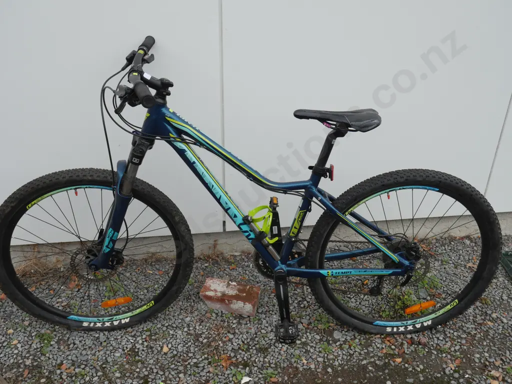 Liv ladies bike Image 1++