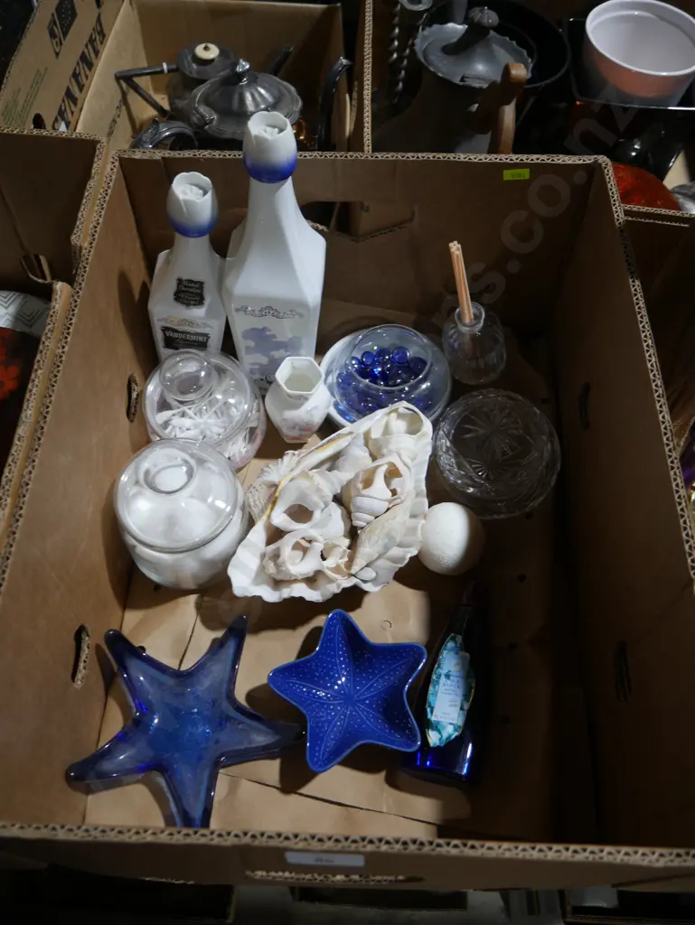 Sea shells etc Image 1++