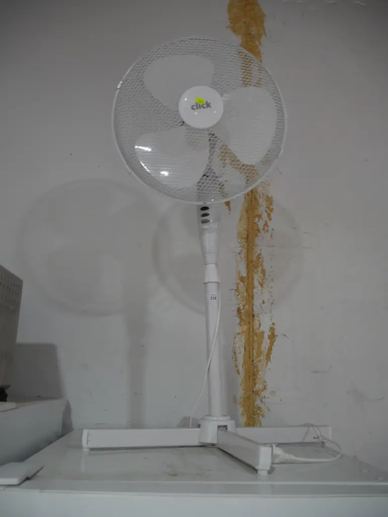 Standard fan Image 1++