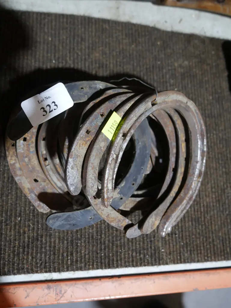 Horseshoes Image 1++