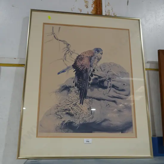 Framed Raymond Ching limited edition print