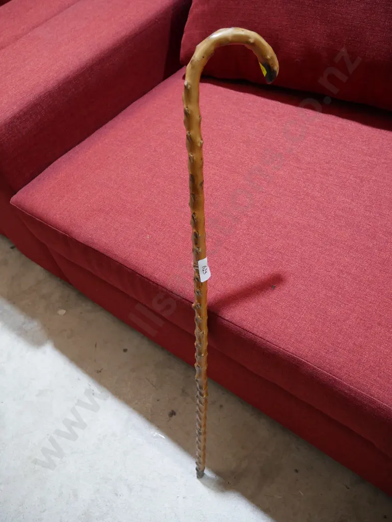 Walking stick Image 1++