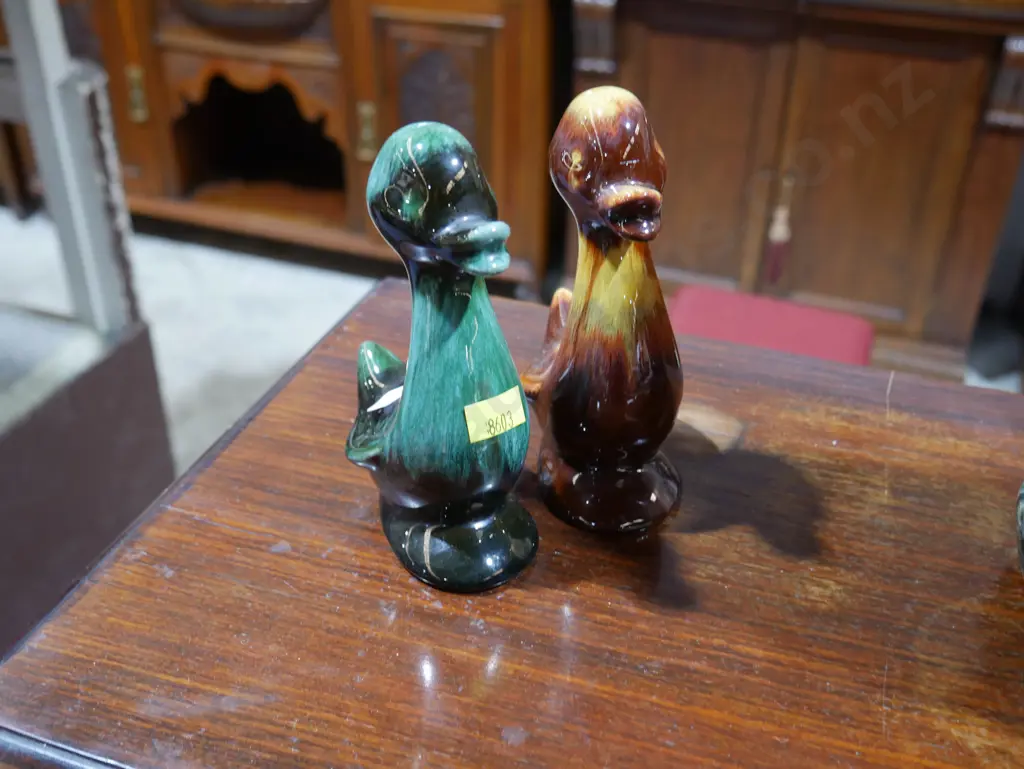 2 blue mountain ducks Image 1++