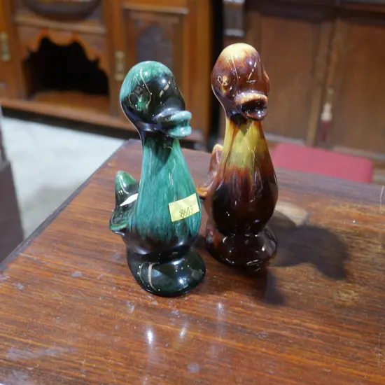 2 blue mountain ducks