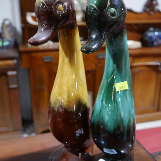 2 blue mountain ducks