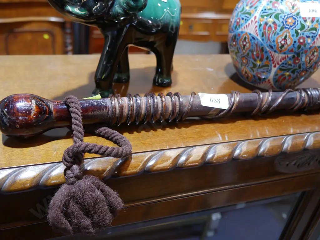 Walking stick Image 1++