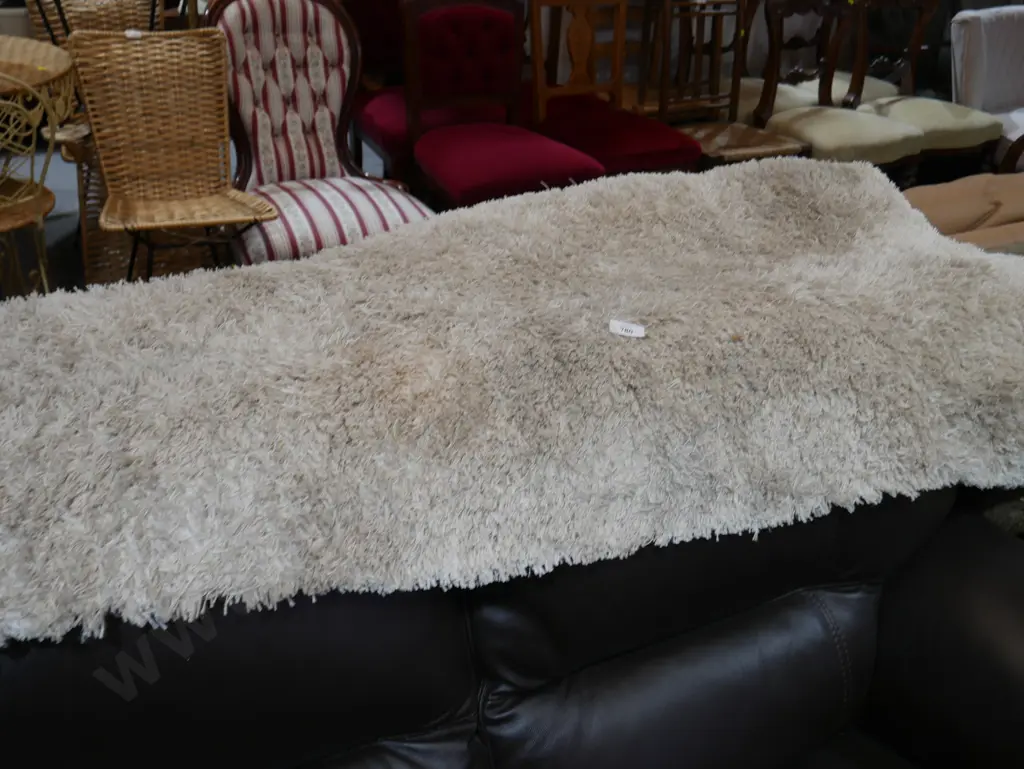 Fluffy rug Image 1++