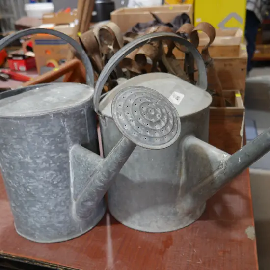 2 metal watering cans