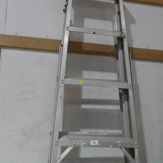 Large extension ladder