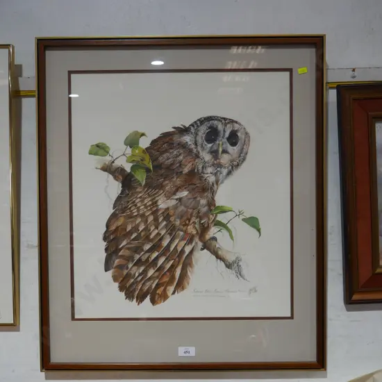 Print ,Owl - Bruce Harvey