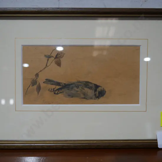 Sketch - Van Der Velden