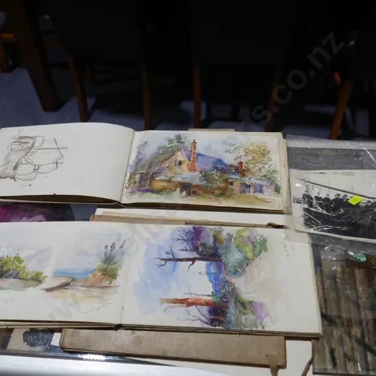 Albums of water colours