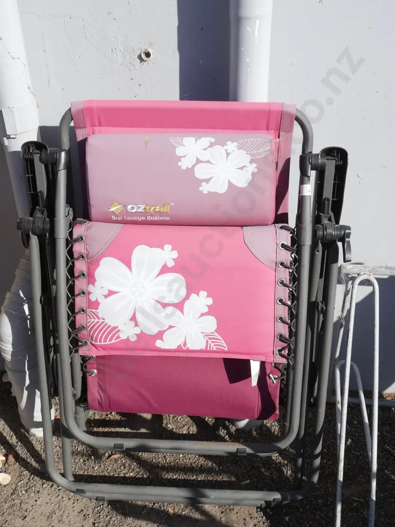 OZtrail sun lounger Image 1++