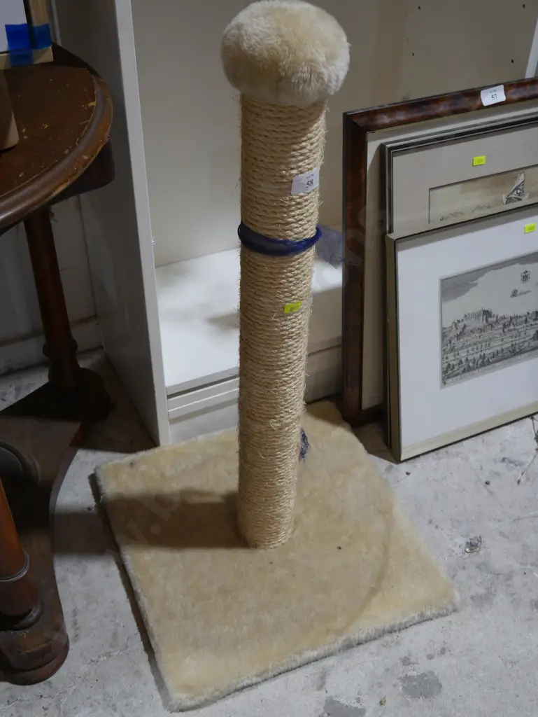 Cat scratch post Image 1++