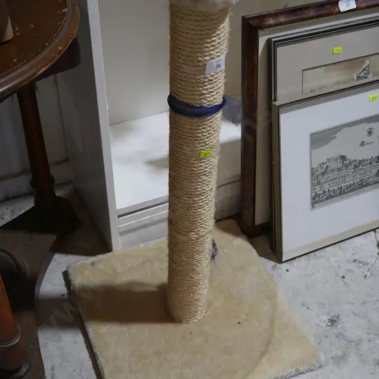 Cat scratch post