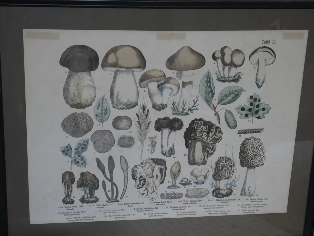 Assorted art Image 1++