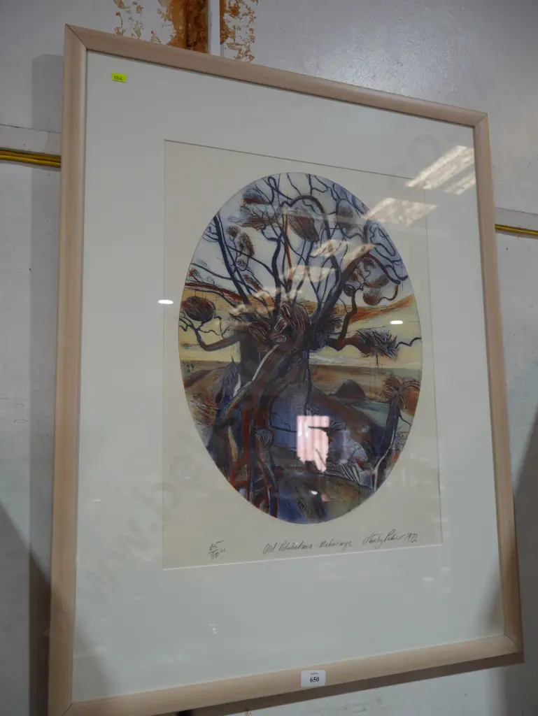 Old Pohutukawa mahurangi print Image 1++