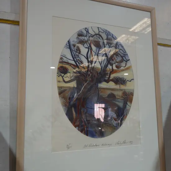 Old Pohutukawa mahurangi print