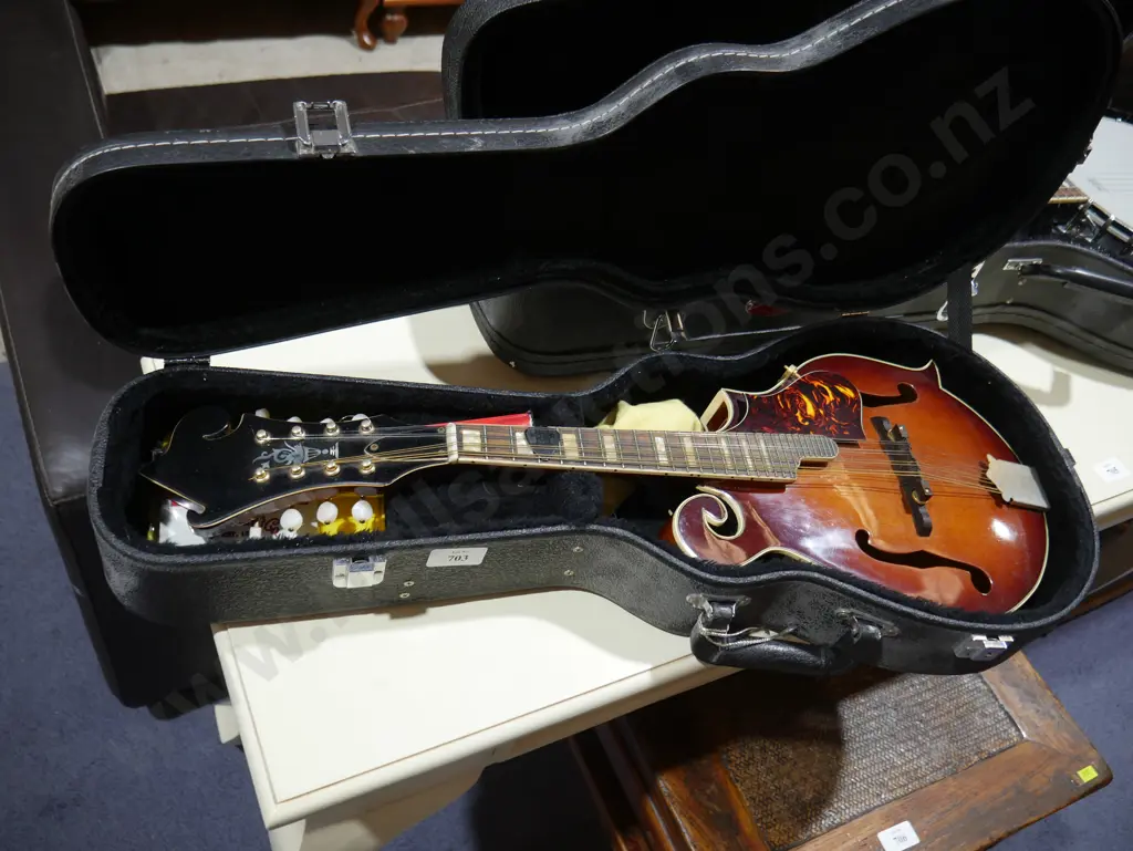 Cased mandolin Image 1++