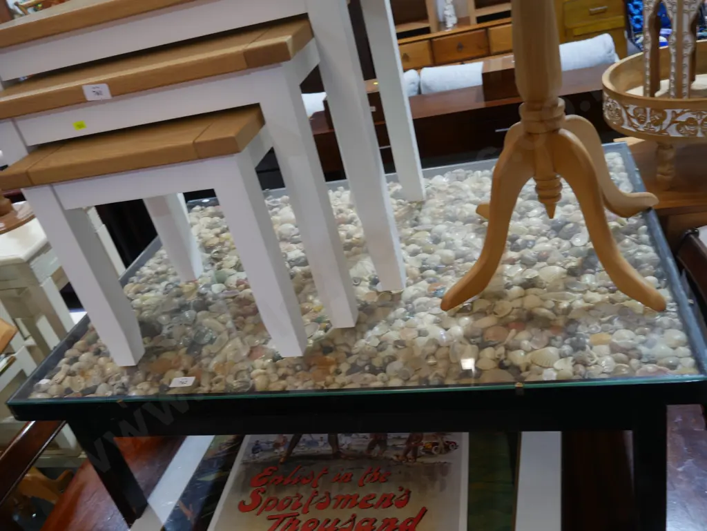 Shell display coffee table Image 1++