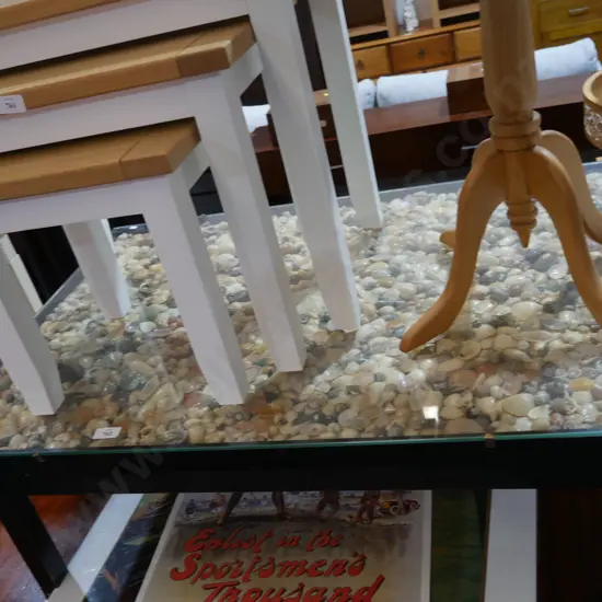 Shell display coffee table