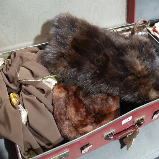 Suitcase  , furs