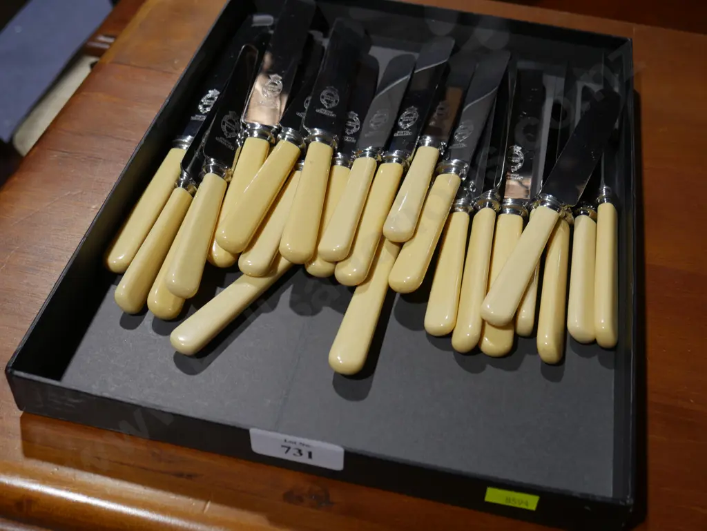 Bone handled knives Image 1++