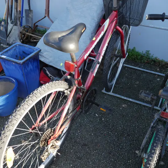 Ferruno mountain bike