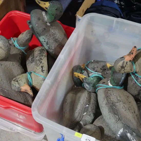 Duck decoys