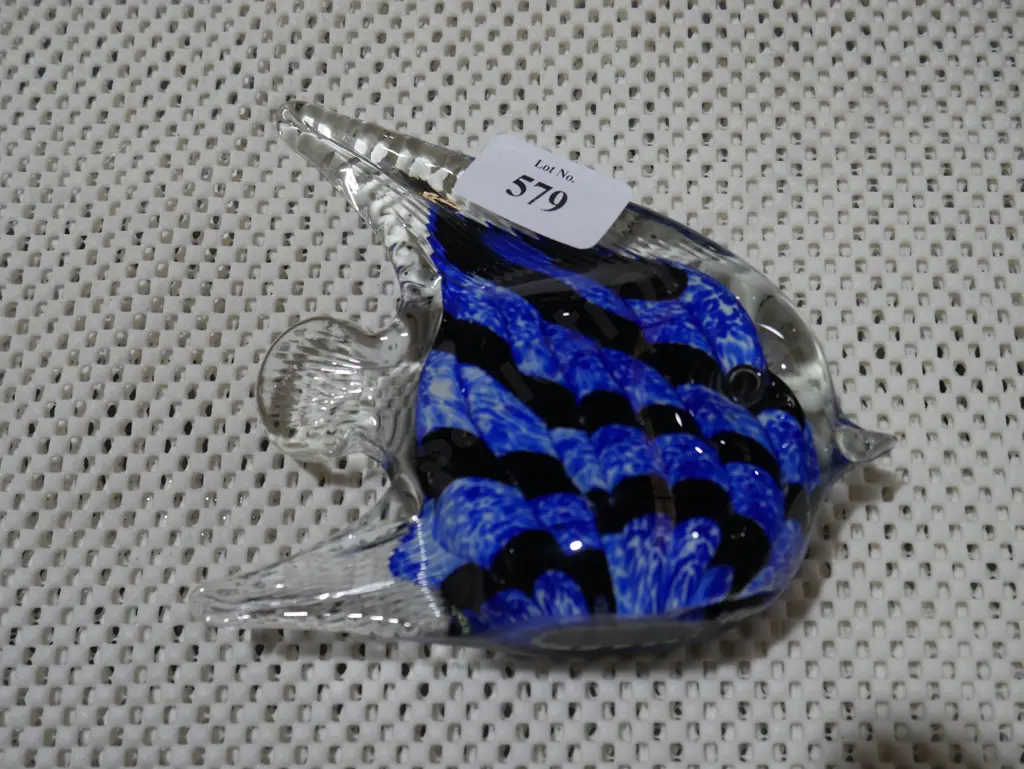 Glass fish Image 1++