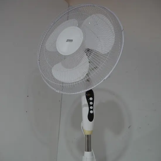 Fan