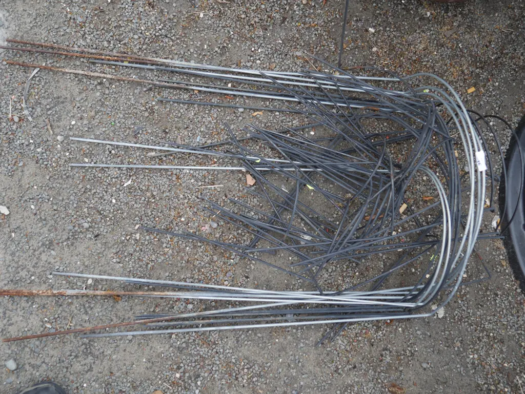 Plant support hoops Image 1++